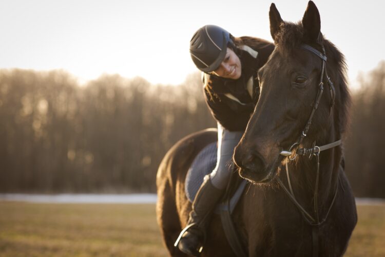 Learning to Ride a Horse: Tips for Beginners